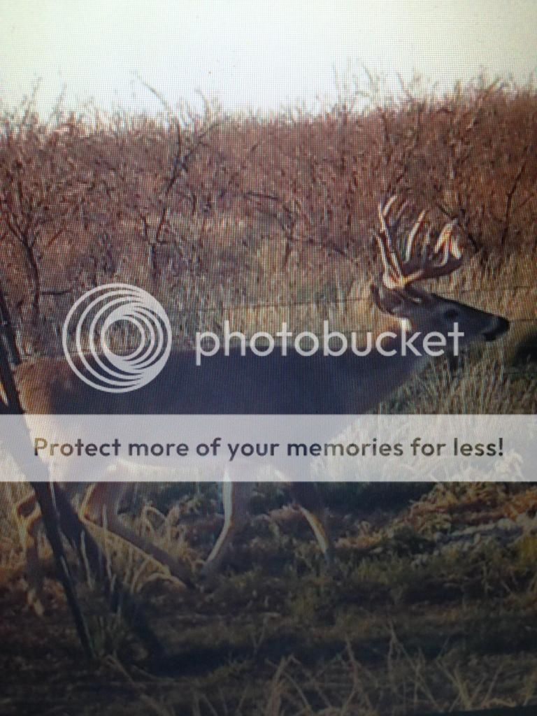 looking for four hunters for Childress area lease TexAgs